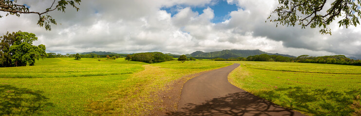 Beautiful Pastoral Valley on the Island of Kauai, Hawaii. Grazing sheep and beautiful light make...