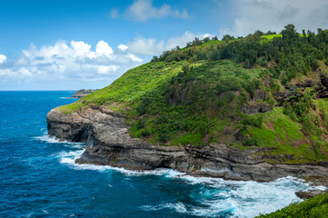 Kilauea Point National Wildlife Refuge. The ocean cliffs and tall grassy slopes of a dormant volcano provide a protective breeding ground for many Hawaiian seabirds like the Red-footed booby.