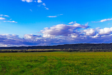 Obraz premium meadow and hills with a coniferous forest in the distance