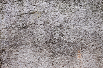 Old gray cracked stucco on the wall.