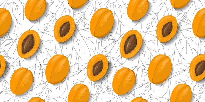 Trendy fruit pattern with apricots. Orange ripe apricots on a white background. Bright summer fabric and textile design