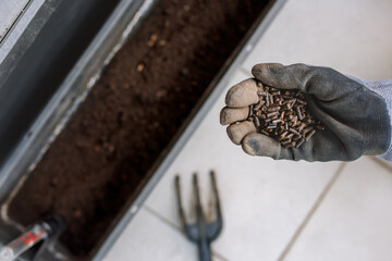 Granulated fertilizer in the hand with a glove on. This type of fertilizer releases nutrients gradually into the soil with a controlled release period.
