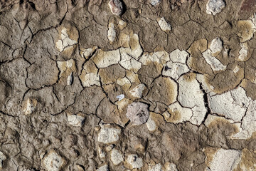 Detailed close up view on dry agricultural grounds and acre in high resolution