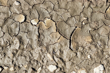 Detailed close up view on dry agricultural grounds and acre in high resolution