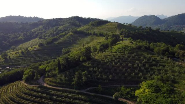mountain terraces in the afternoon- village of Montevecchia and Curone Valley regional park, Brianza, Lombardy, Italy