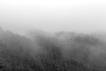 Fototapeta na wymiar Mountain Side with Dark Foggy Forest. Late Summer Tatras Mountains, Poland. Misty Valley. Green Forest on the Background of Cloudy Sky. Fog, Trees and Mountains.
