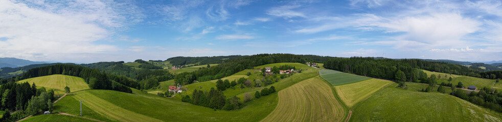 Schwarzwald bei Biederbach