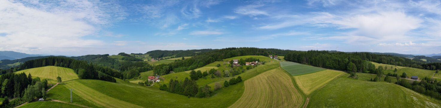 Schwarzwald bei Biederbach