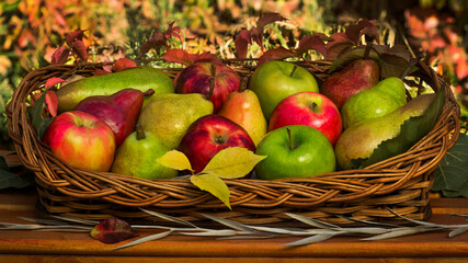 apples in a basket