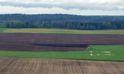 Obraz premium Clean natural agricultural landscape with freshly plowed fields and large forest to the horizon