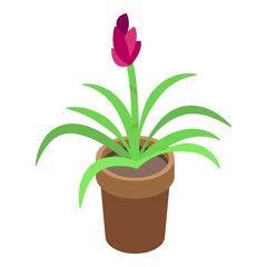 Fototapeta na wymiar Room flower pot icon. Isometric of Room flower pot vector icon for web design isolated on white background