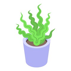 Sea plant pot icon. Isometric of Sea plant pot vector icon for web design isolated on white background