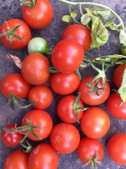 Close up of cherry tomatoes