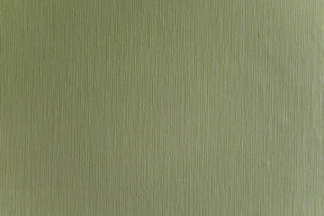 Light Olive Green texture and surface background