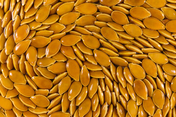 Natural Orange Goliath Pumpkin Seed Spiral Abstract, South Africa