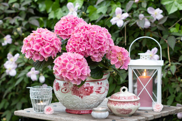 Gartendekoration mit rosa Hortensie im Topf und Laterne