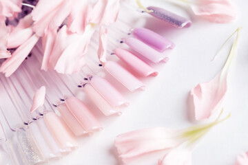 Set color samples of fake nails for choosing sammer pink manicure and gel polish with flowers.