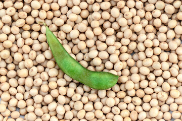 Edamame beans or green soybeans on dry seeds soybean in Brazil