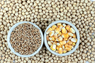 soybean, wheat and corn seeds in Brazil