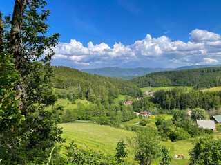 Schwarzwald bei Biederbach