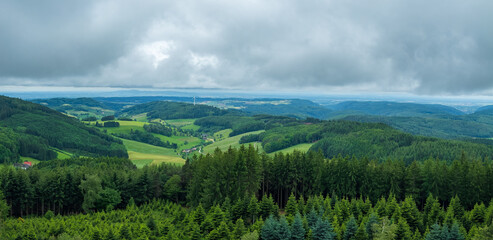 Schwarzwald bei Biederbach