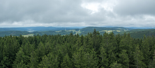 Schwarzwald bei Biederbach