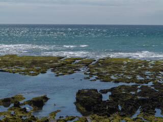 Seaside Coast with a Green Algae Beach. Peninsula Valdes, Argentina. Green Coastline and Blue Sunny Sky. No people.  Delicate White Waves on a Water Surface.