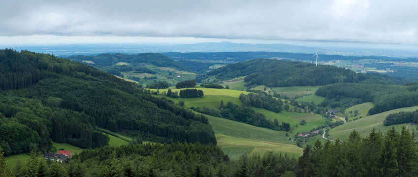 Schwarzwald bei Biederbach