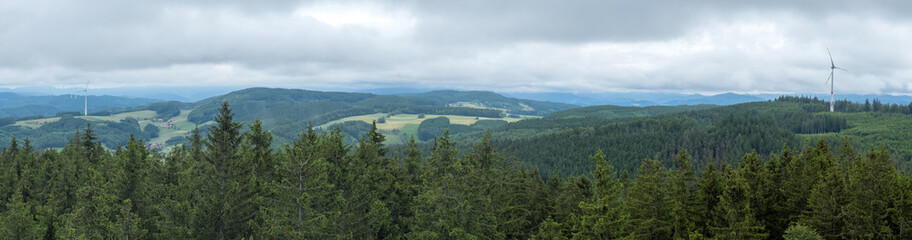 Fototapeta na wymiar Schwarzwald bei Biederbach