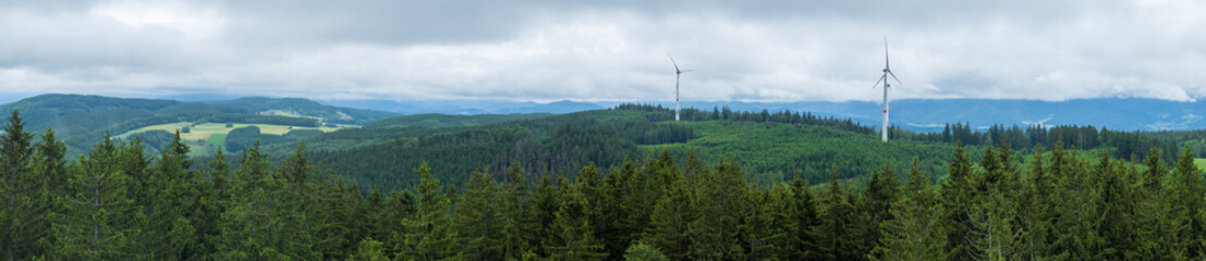 Schwarzwald bei Biederbach