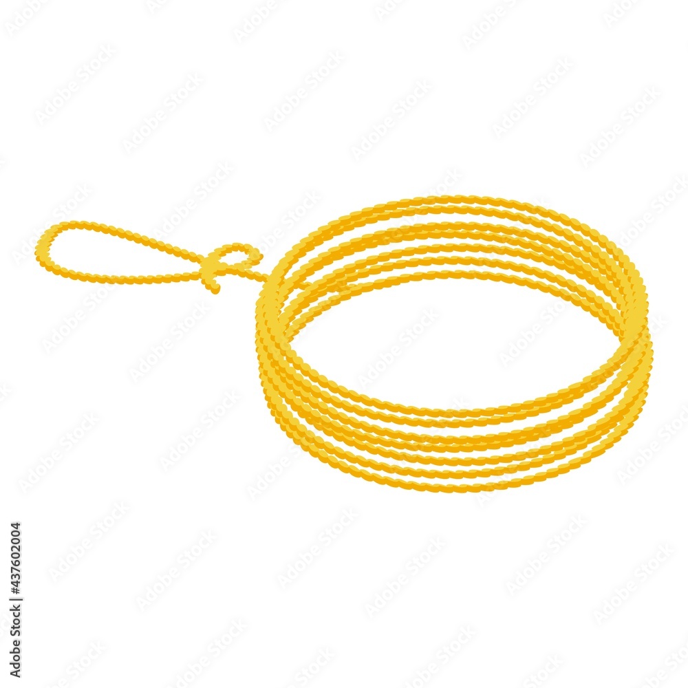 Poster cord lasso icon. isometric of cord lasso vector icon for web design isolated on white background