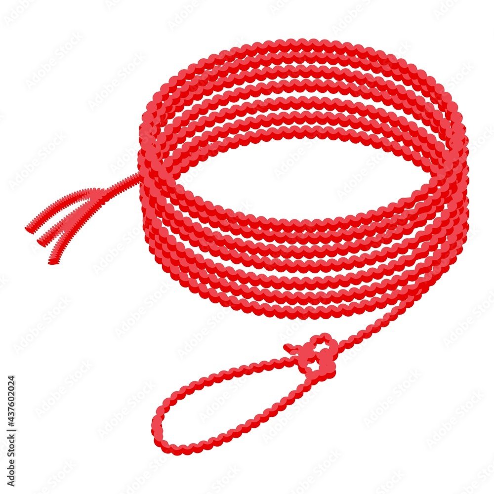 Poster knot lasso icon. isometric of knot lasso vector icon for web design isolated on white background