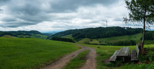 Schwarzwald bei Biederbach