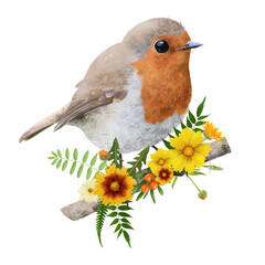 Realistic hand painted tiny robin with bouquet of orange and yellow summer flowers (tickseed and calendula with green leaves) isolated on white