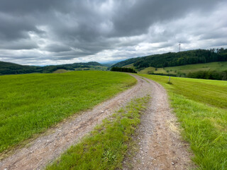 Schwarzwald bei Biederbach