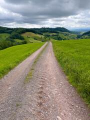 Schwarzwald bei Biederbach