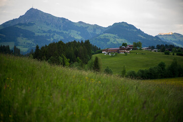 Kitzbüheler Horn