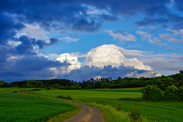 Landscape with a road in the field and clouds