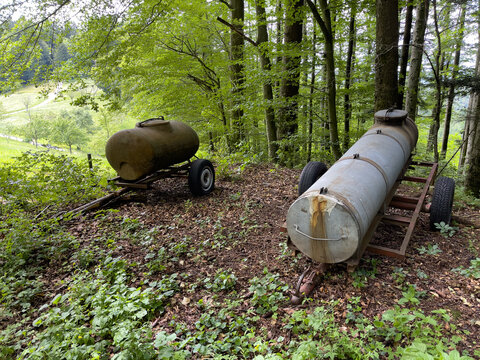 Schwarzwald bei Biederbach