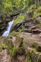 Treppenaufstieg Schwarzwald