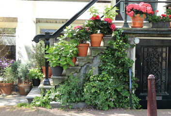 Fototapeta na wymiar Amsterdam Canal House Entrance Steps with Plants and Flowers in Pots