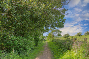 Fairy Footpaths at Fullerton Park Near Troon in Scotland.