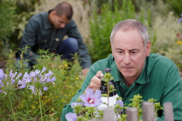 moistens the flowers from the yellow spray in the garden