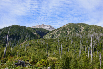 Chaitén volcano, Pumalin National Park, Patagonia, Chaitén, Chile