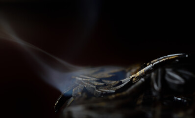 Close up of delicate smoke rising from a censer against a dark background