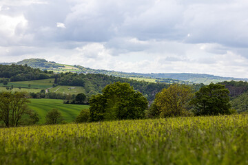 Paysage de la Suisse normande le long de l’Orne à Clécy sous un ciel couvert (Normandie)