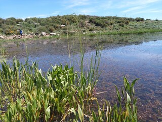 Little Blackberry Lake