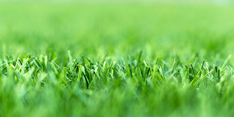 Artificial grass on the football field. Sports concept. Health care concept. Selective focus. Banner.