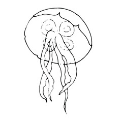 Hand draw illustration jellyfish. Line art. Jellyfish clipart. Logo design
