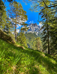 Fototapete bei efototapeten.de bestellen   